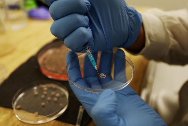 avances tecnológicos en la medicina