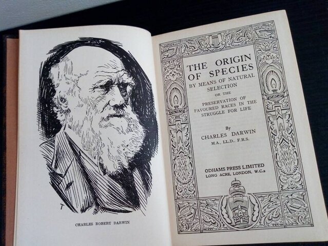 The Theory of Evolution