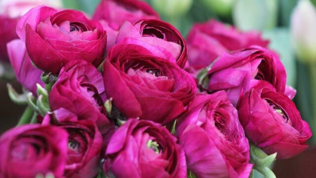 06.jún	Hétfő	Pünkösdhétfő	Munkaszüneti nap