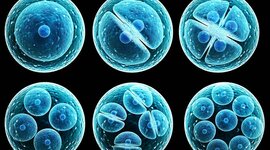 Timeline: historia de la celula