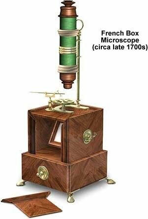 Els primers microscopics