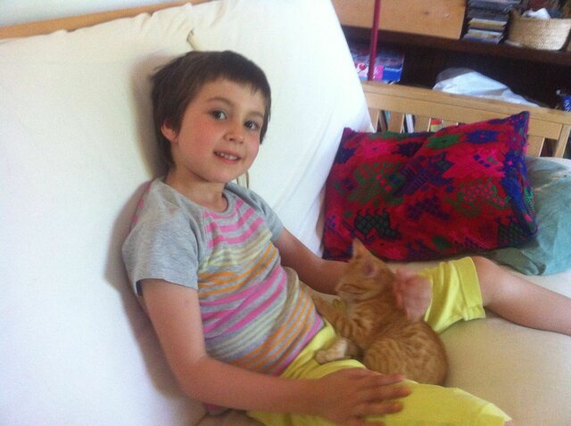 Adoptem al meu gat (Otto)