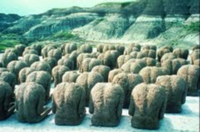 Magdalena Abakanowicz