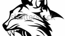 Timeline: LA VIDA DERECHO