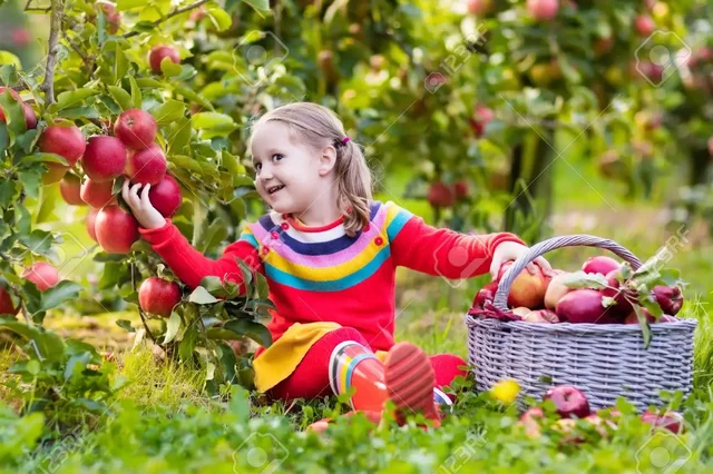 FINALMENTE A DISFRUTAR!