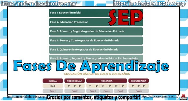 CURRICULUM POR GRADOS 2022