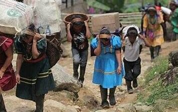 Construcción de leyes