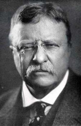Theodore Roosevelt becomes President