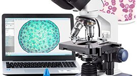 Timeline: Historia del microscopio 🔬