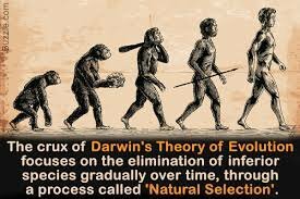 Theory of Evolution