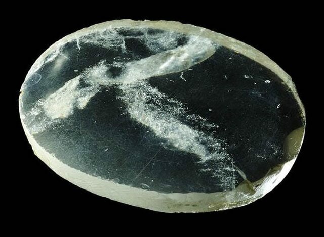 Apariciones de los lentes