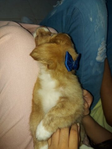 LLEGADA DEL AMOR DE MI VIDA