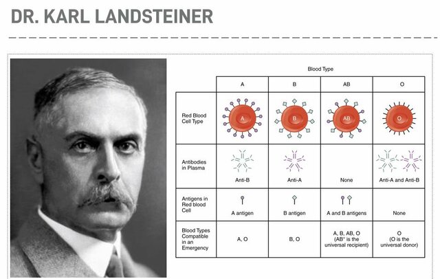 Karl Landsteiner discovered three blood types: A, B, O
