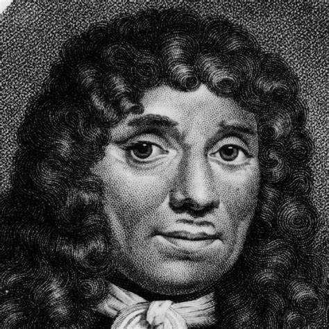 Anton van Leeuwenhoek va observar diferents cèl·lules eucariotes i procariotes