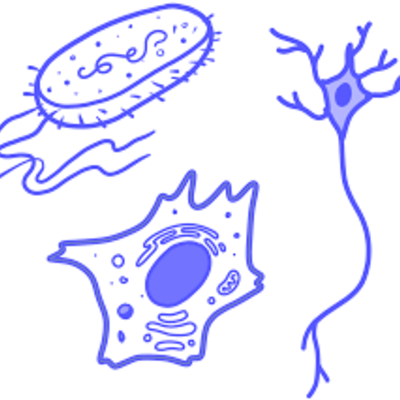 Timeline: La cèlula