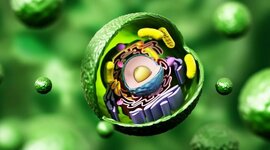 Timeline: L'interessant història de la cèl·ula