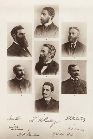 Bailey becomes Professor of Horticulture at Cornell University