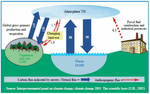 Affects of carbon dioxide on climate change related to the Industrial Revolution