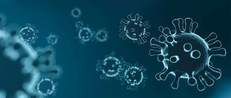 CRISI ECONÒMICA COVID-19