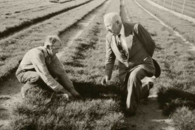 Soil Conservation and Domestic Allotment Act of 1936