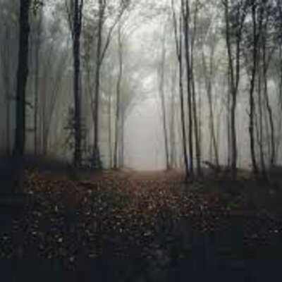 Timeline: Películas Terror (: