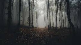 Timeline: Películas Terror (: