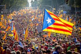 FET SOCIAL: MANIFESTACIÓ 11/9