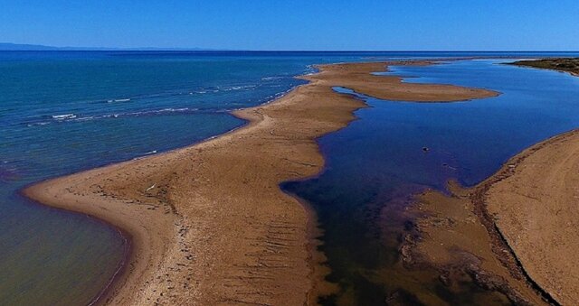 Anem al delta de l'Ebre amb l'escola