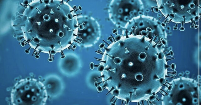 crisi per culpa del covid 19 (Econòmic)