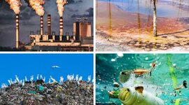 Timeline: contaminación ambiental