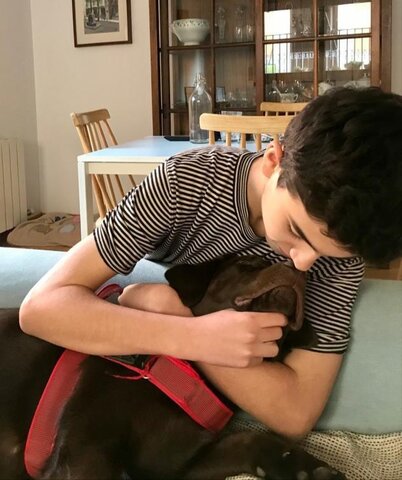 Arriba el meu gos a casa