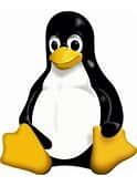 Linux OS is Released