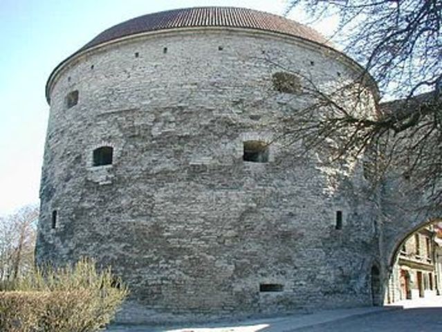 Толстая маргарита