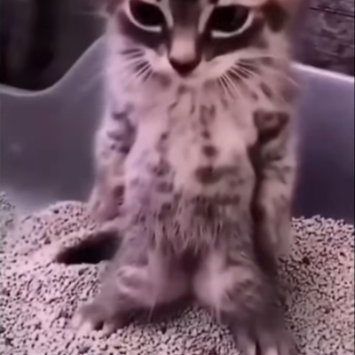 Timeline: История развития вычислительной техники