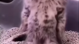 Timeline: История развития вычислительной техники