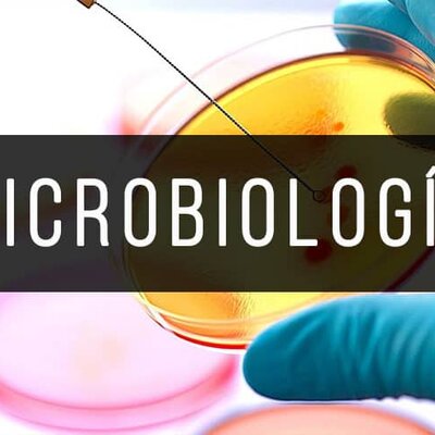 Timeline: Historia-Microbiología por Cruz Alanís Leonardo 610 A