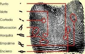 DACTILOSCOPIA