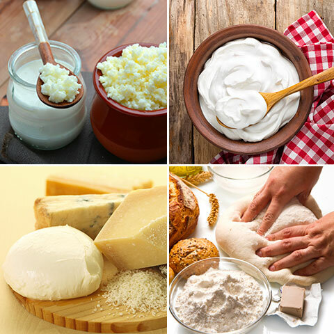 Agentes de fermentación láctica