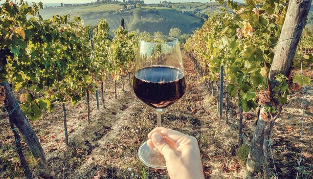 Inicio de la industria vitivinícola en Egipto