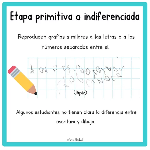 Etapa primitiva o indiferenciada