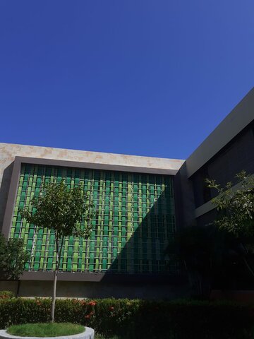 Ingresé a la Universidad