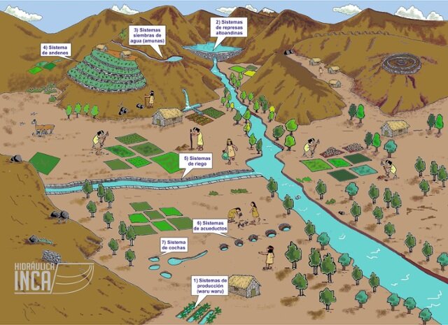 En el Siglo XV Los Incas (sistema de riego por terrazas)