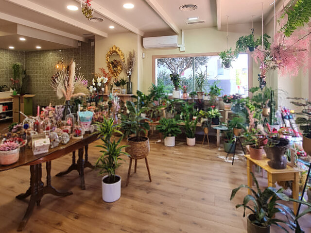 Floristería de mis sueños | inteligencia naturalista