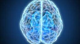 Timeline: EVOLUCION DE LA TEORIA SOBRE LA INTELIGENCIA MULTIPLE