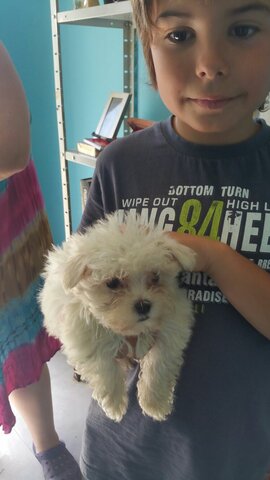 The day we took Rita