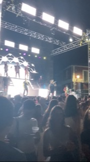 MY VILLAGE PARTIES, part 5