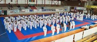 I fought in the Spanish Karate Tournament