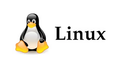 Cuando Linus Torvalds comenzó a trabajar en Linux