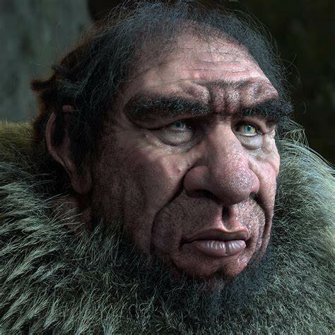 Homo neanderthalis