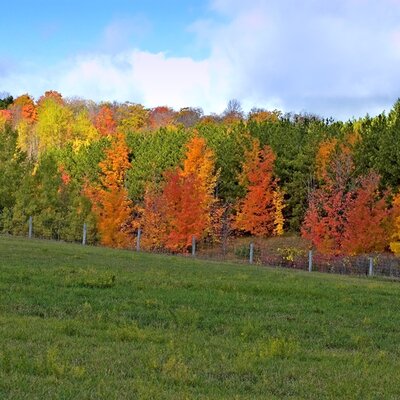 Timeline: Historia de la Informática